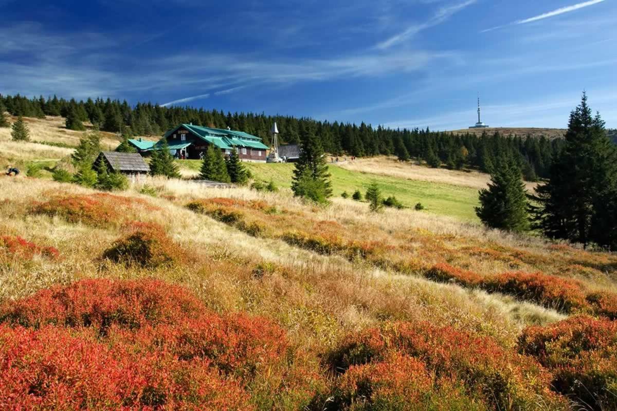 Horsky Hotel Neptun Malá Morávka Kültér fotó